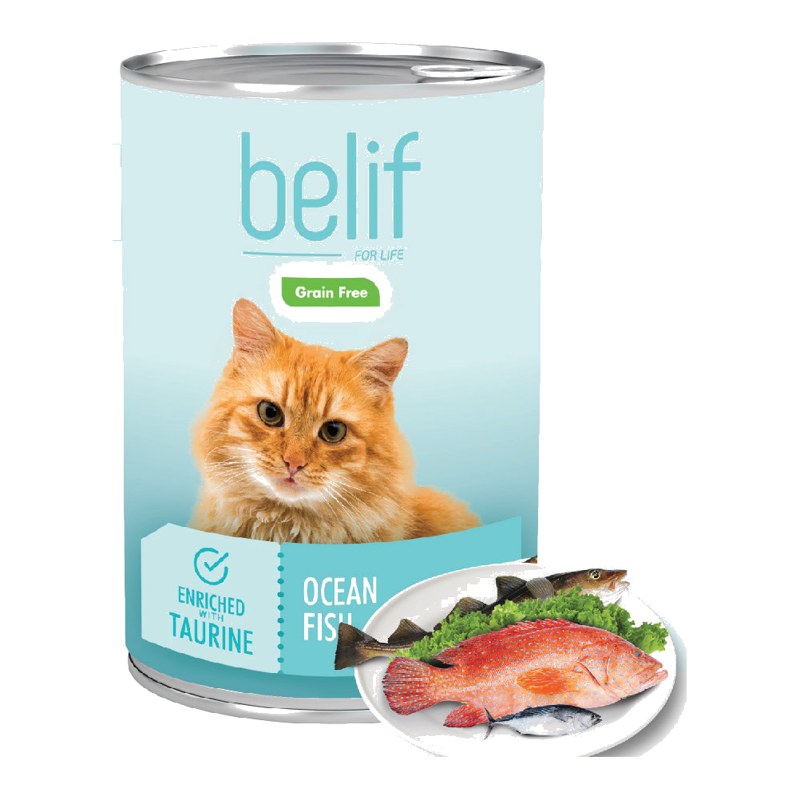 Belif Grain Free Ocean Fish Cat Food