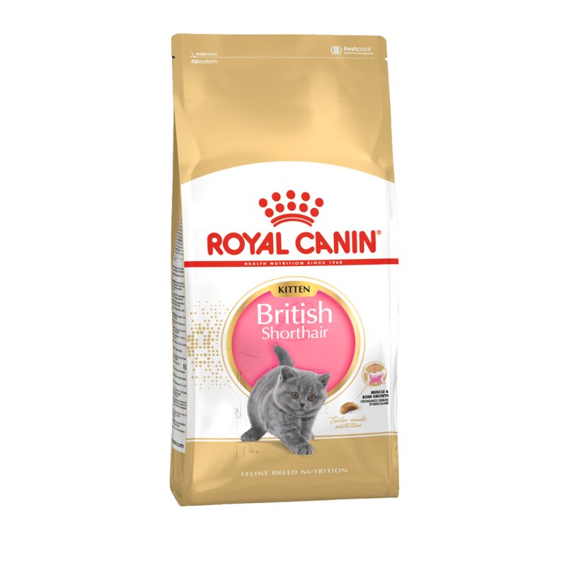 Royal Canin British Shorthair Kitten Dry Cat Food